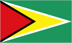 Guyana W Sub-17 Logo
