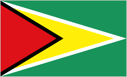 Guyana Feminino Logo